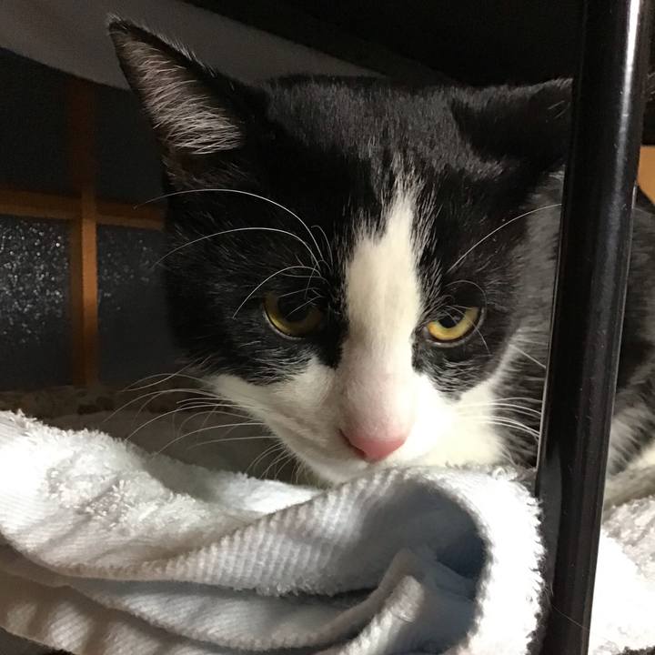 Dc7a047d 3c90 4bef a8f3 eaf891d120be 1642035107075