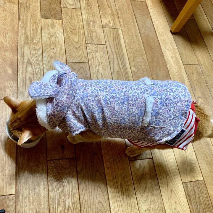 Dc7a2328 e1f1 4910 9fe2 add9e1592e9d 1580634744840