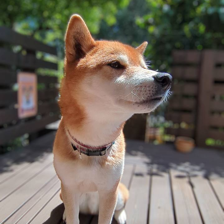 Dc7a27c2 096a 4300 a34f 18b89291eebf 1744844256421