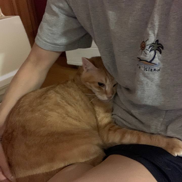 Dc7a43db 32e6 4ebe 8851 669184be8d08 1667079034523