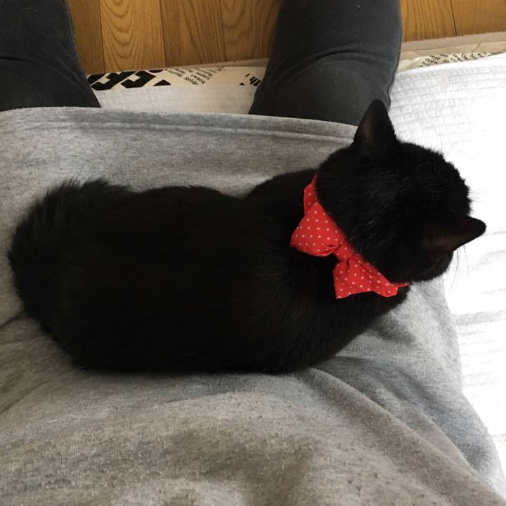 Dc7a48a6 3bb6 411a a8e0 aacf28cd2599 1552116288232