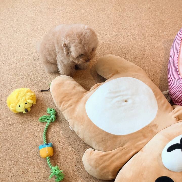 Dc7a60ec 7bdc 4f97 b411 b7fc8a85c934 1510377825455