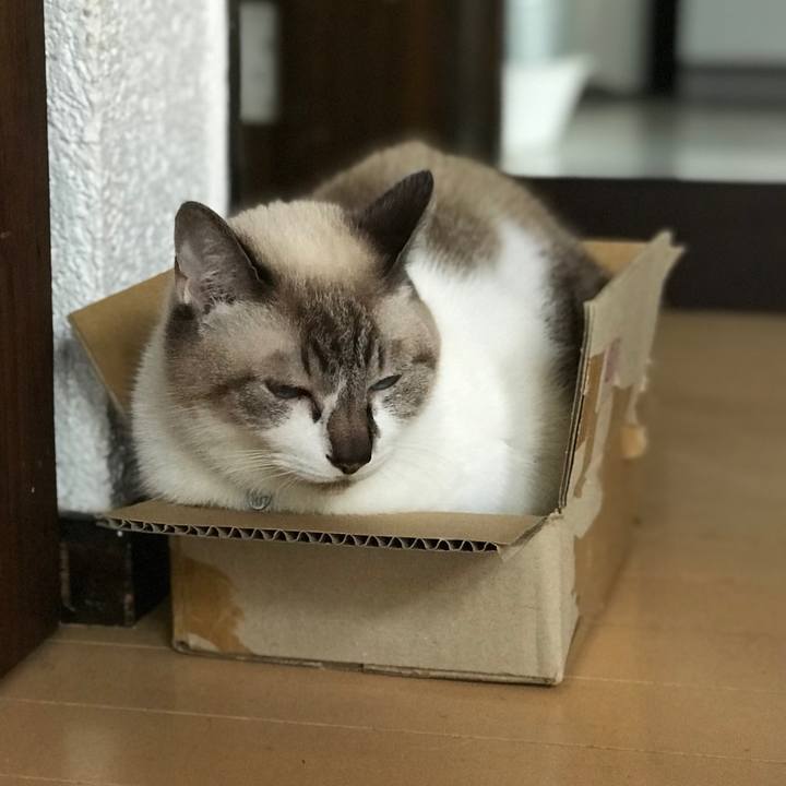 Dc7b2228 360d 430e 82e0 9ea8c5fe1bad 1539585892480