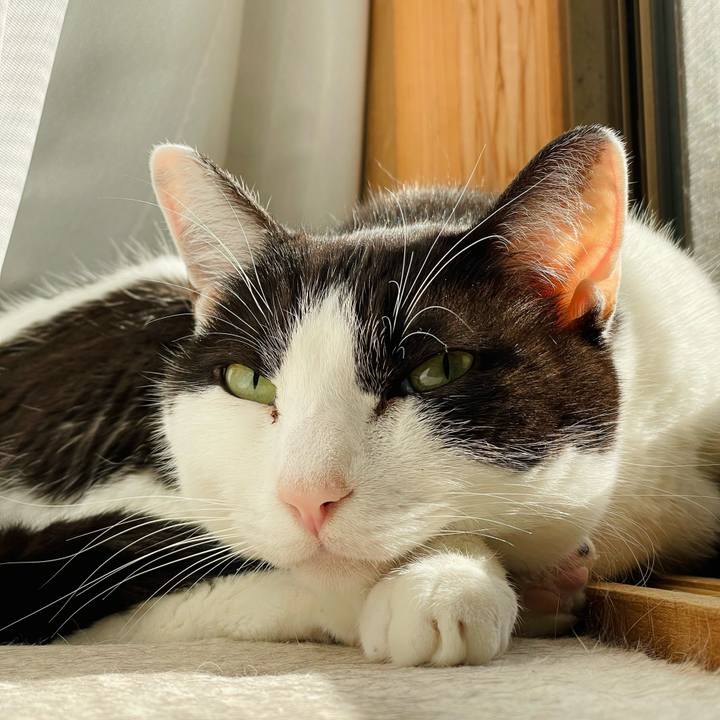 Dc7b355b 779d 4c05 91c7 1c315abbc6ce 1642816267876