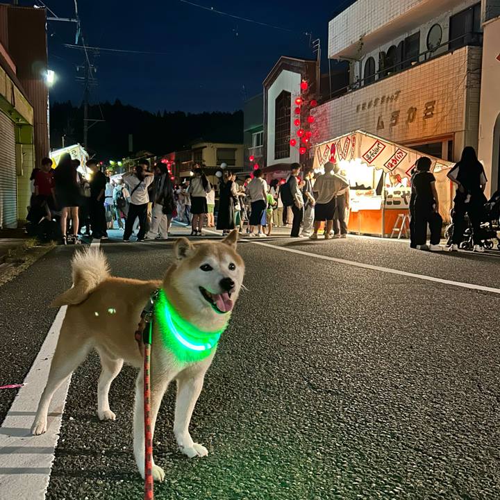 Dc7be984 48be 4ca5 9728 7ac28a28a942 1721389661004