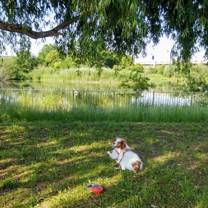 Dc7c3cd3 7787 424b b161 bd4ccf4ab30d 1559174029566