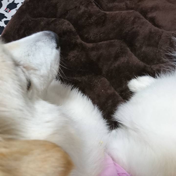 Dc7c5be5 a5a9 4157 80d1 a835e052f05f 1526249569697