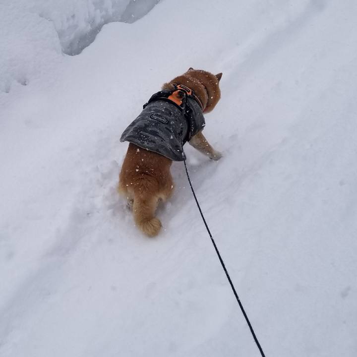 Dc7c6574 6df0 4ddd b530 794e9d4bbfc2 1736480012746