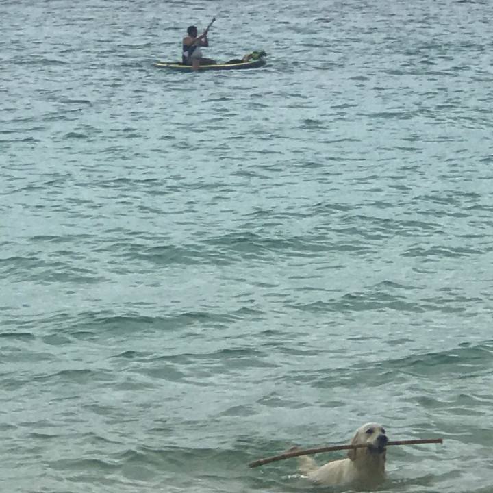 Dc7ce6e5 49f6 45fe a8d5 8d9dbe9af3b1 1526028734293