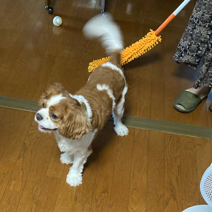 Dc7d35a0 2322 49b5 8d74 63183ce855fa 1758024321448