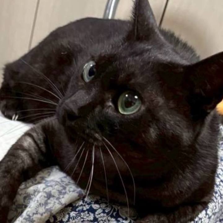 Dc7d36c4 330b 4221 bfd7 75a51397f5bd 1769825969294