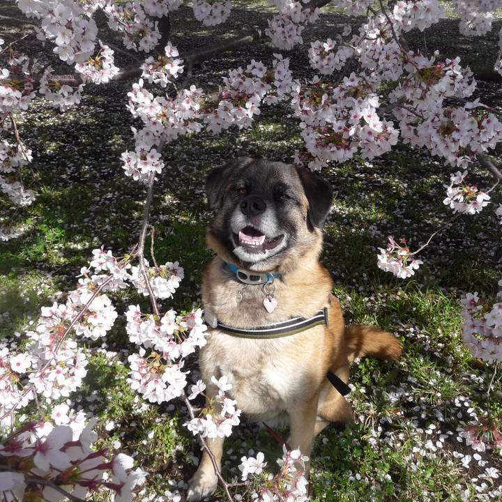 Dc7d6ad0 1891 4f59 96b0 0ee7e302bd2d 1617066051587