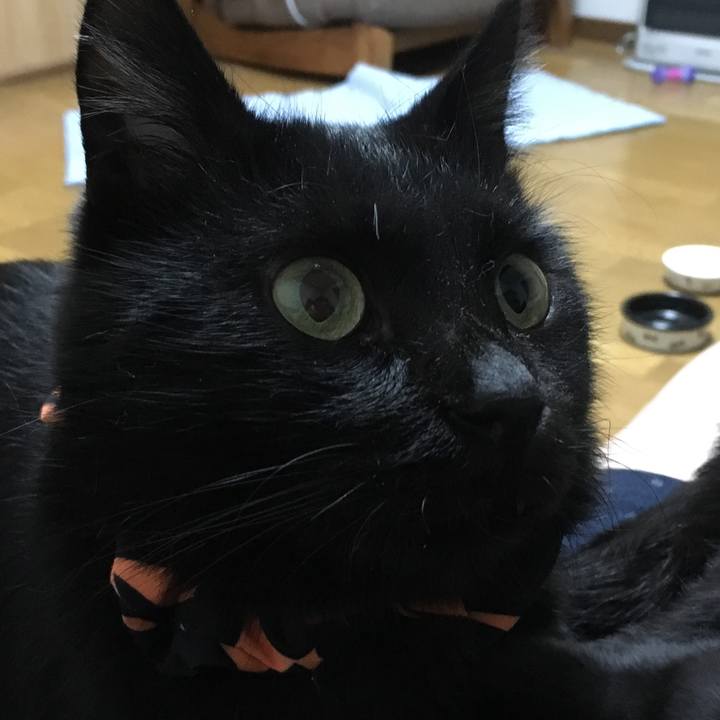 Dc7d8ca7 619e 49fa b426 469f60511625 1540465730320