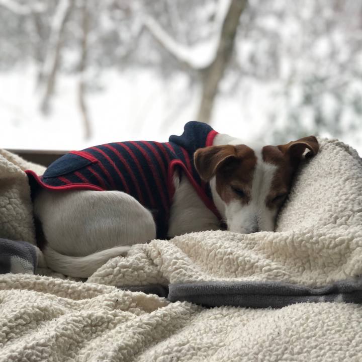 Dc7df0bd 32ac 48ed 98c5 c490da1e99bc 1740886656035