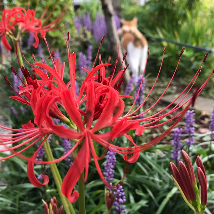 Dc7dfce6 9827 453f 95a3 bd82e728e35c 1536912150294