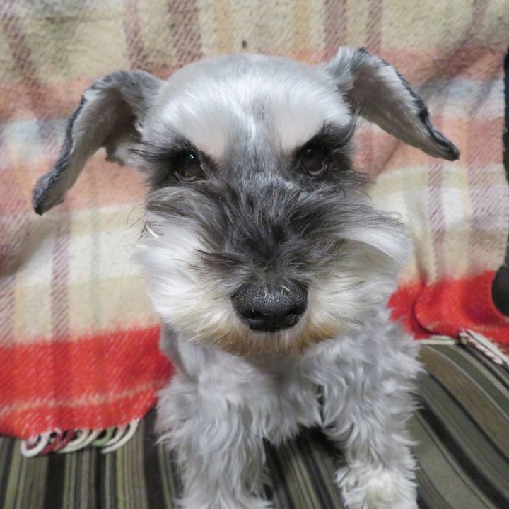 Dc7e0d8e 26c5 4294 9fc1 f9e9f682c0df 1612770077370