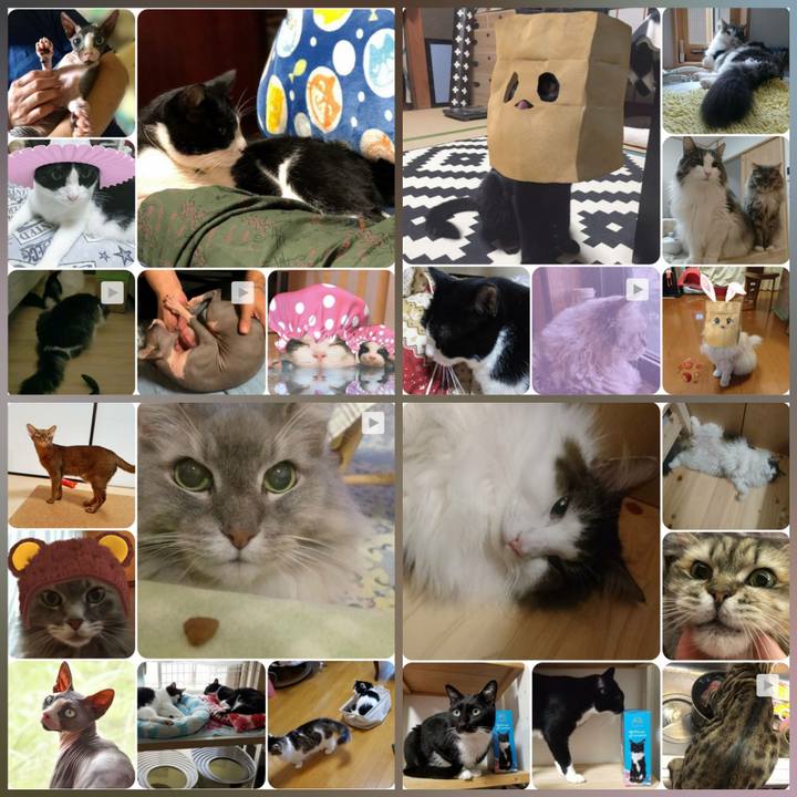 Dc7e48ee c380 4c3b be96 cdbccaa73f7e 1569588483437