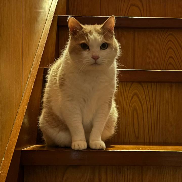 Dc7e48fb de6c 41ed aaac f614920ae9fd 1763395112171