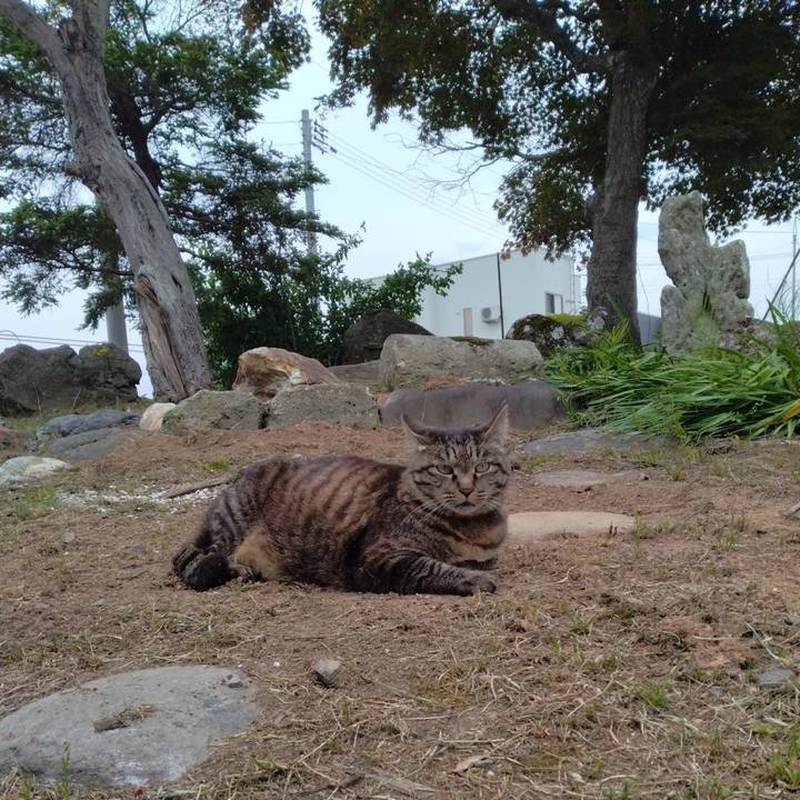 Dc7e4c27 f372 4635 ad5c 3c2b1230fc40 1686213292955