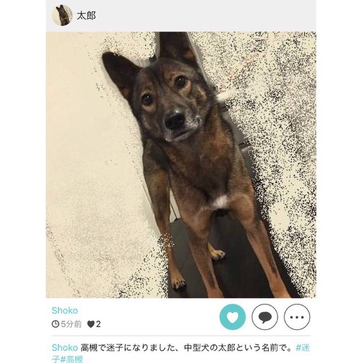 Dc7e5e7c eb10 4d04 a61f 3d3d5dc928b2 1529299097590