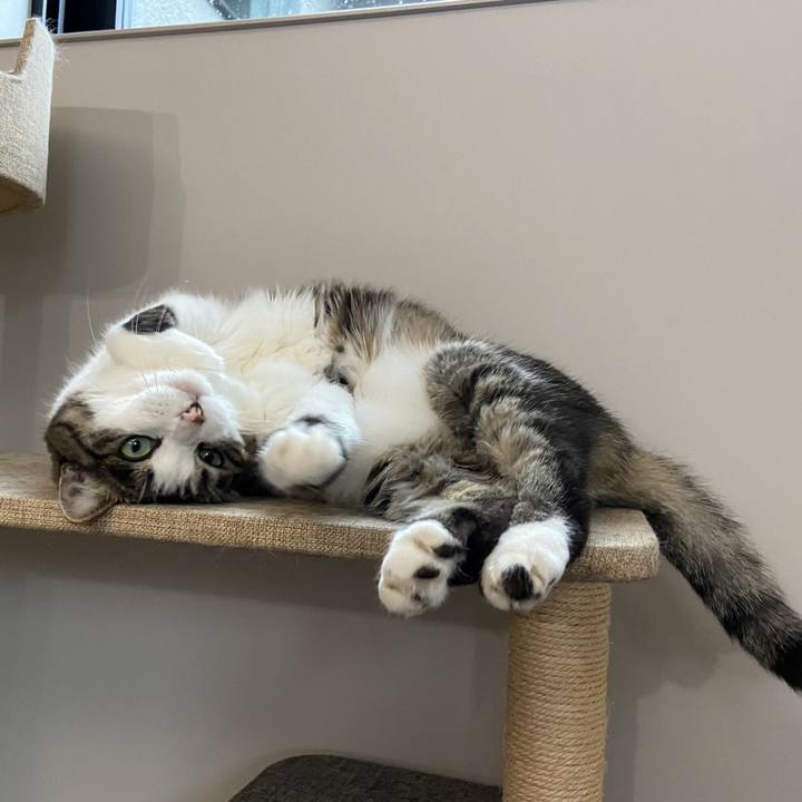 Dc7e77c3 ef37 49b9 8e0b 9254f73149e1 1719201923415