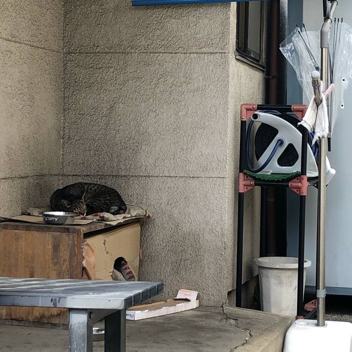 Dc7e8229 d3b6 459f 908c 6645a11f6b45 1617093720652