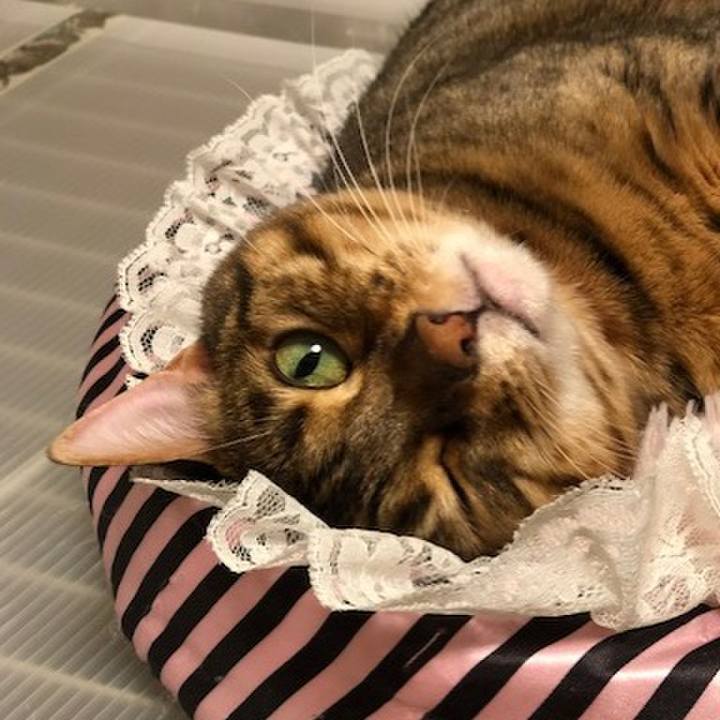 Dc7e9709 b7f3 4ffb 9103 87d13c4531f0 1521434744695