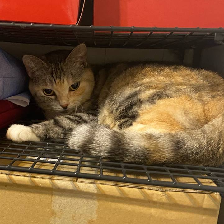 Dc7eb0ce ec24 44ce b1af 90f07c45d25b 1627313119799