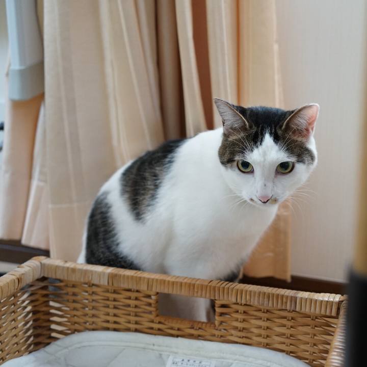 Dc7ee74b ed0a 4897 8db5 a1158c383b8e 1537314957593