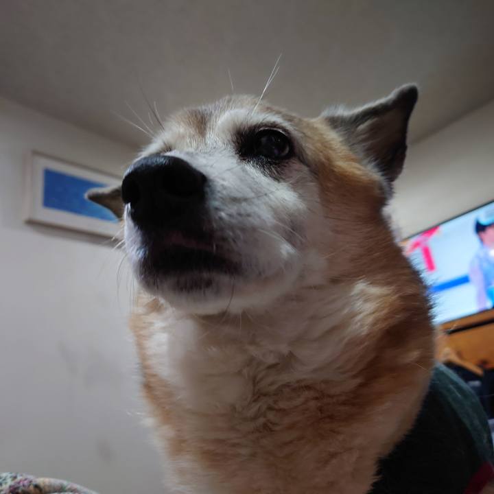 Dc7f1bda 7b4b 408a b950 40ddff6eb038 1703200165197