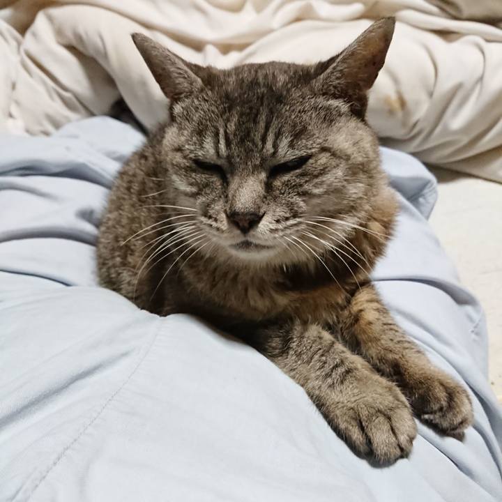 Dc7f3065 0287 44d8 8bd2 824415e81c94 1568462223263