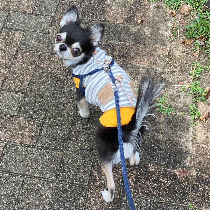 Dc7f375a 7f39 4a7b 9b6d 5bc31d34c50b 1670079909325