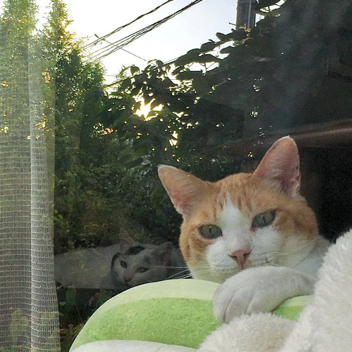 Dc7f4dfa 8a9d 4c9e b18a 79c3b3f7b98a 1598329461757