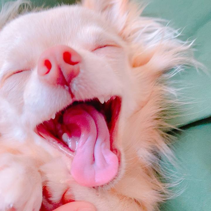 Dc7f6d3c f458 4d81 a347 bde0bb82d9fd 1626331165225