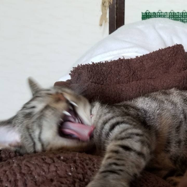 Dc7ffb6b b50a 49aa b28f 17014e479417 1687792762835