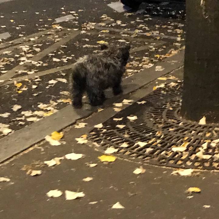 Dc800262 0824 4800 8d73 3fb546e4ac48 1568949681377