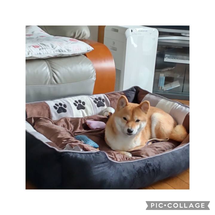 Dc80200a 8ad2 4dfe 8c2b 03dcecce8947 1674195530398