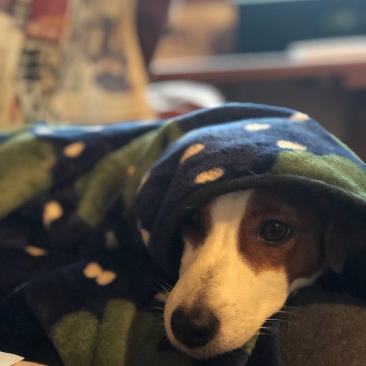 Dc802180 70fa 42aa 815e df4a1a140f0d 1552294712504