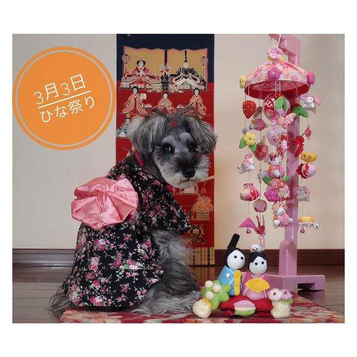 Dc806a72 214a 422c 9d0a e85647fb0f55 1709439911003