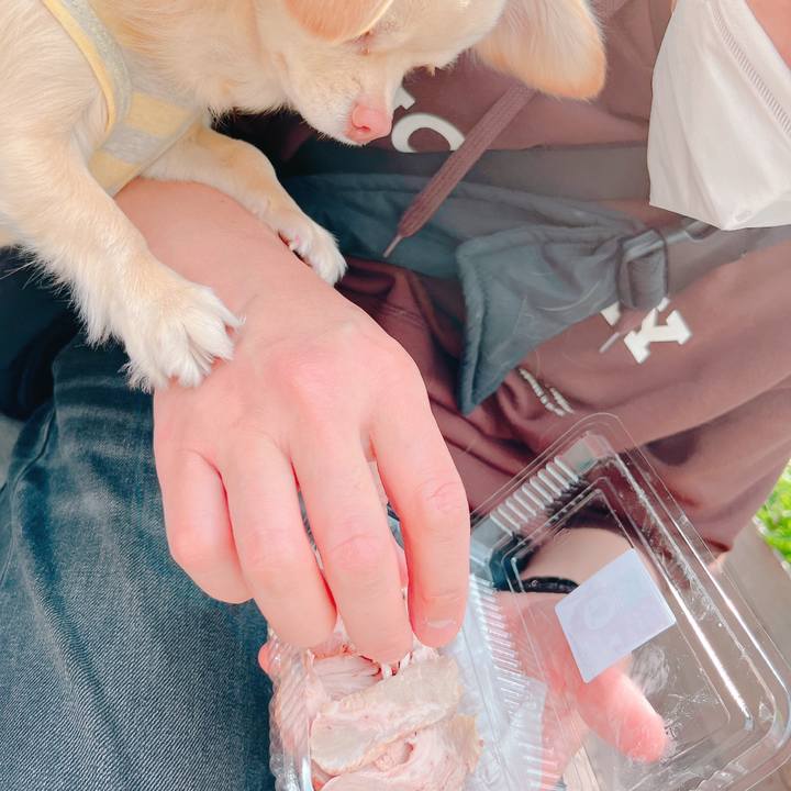 Dc806da2 9828 455b 9e8c 46bc1a7a6d1e 1647861063878