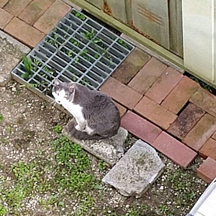 Dc807331 bbde 420a a8df 9cf33bc5bd57 1588667148898