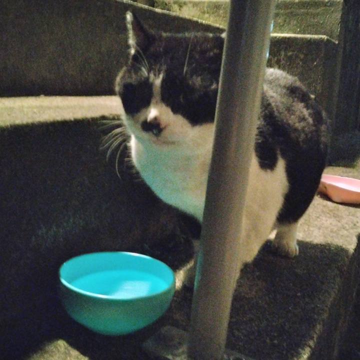 Dc810321 ba24 4081 b26a 5da6840a7077 1702137009479