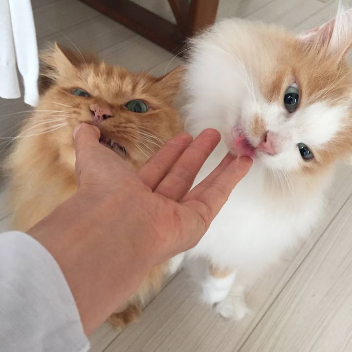 Dc8105de 45c9 4a10 8afa 7c15a0bfea80 1536975288190