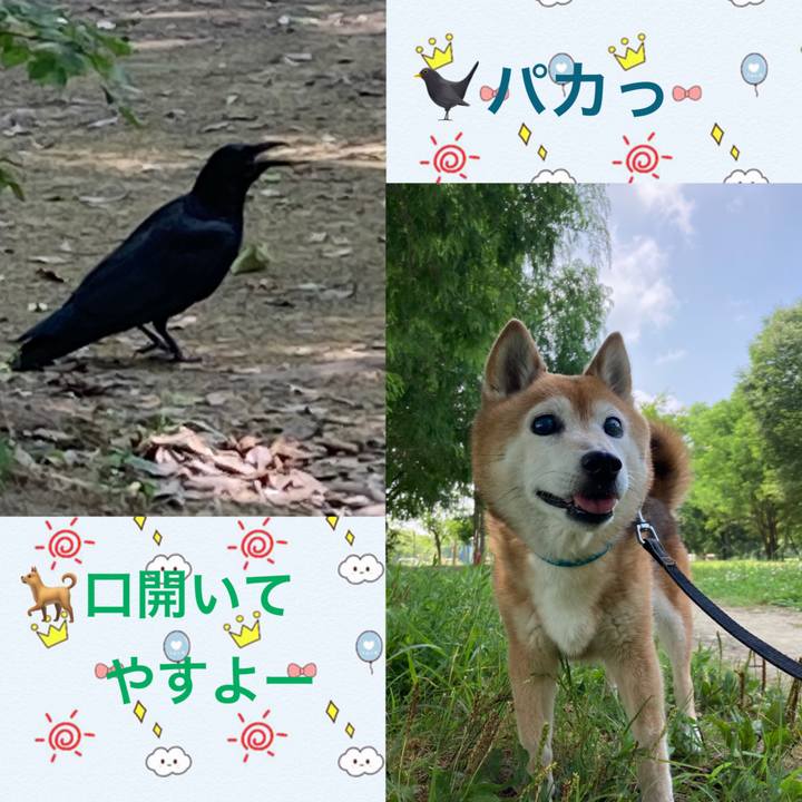 Dc812138 209c 468c bf5e 75795f3a4a83 1751951768495