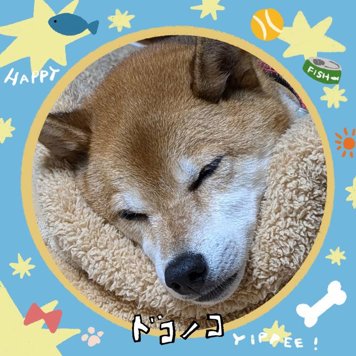 Dc813597 e9cc 4ff2 9b24 8f3760e6131b 1720883023515