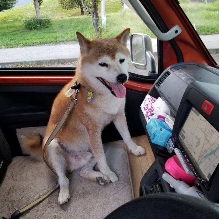 Dc815b83 d867 4936 9465 58682df85dbe 1661157187759