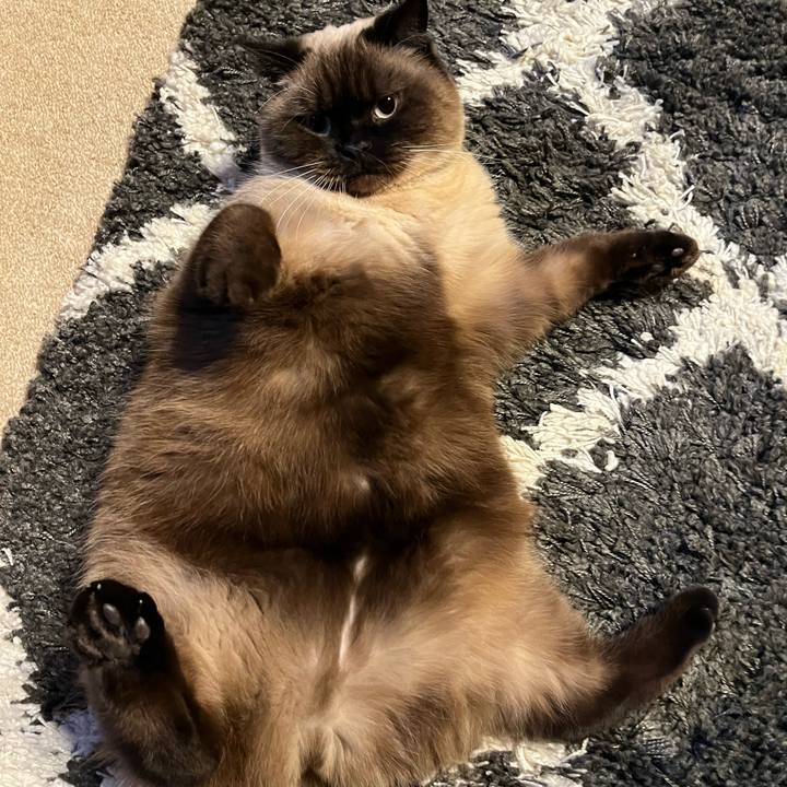 Dc8177fc 5095 4baa b53d 1df259fefaca 1640403224060