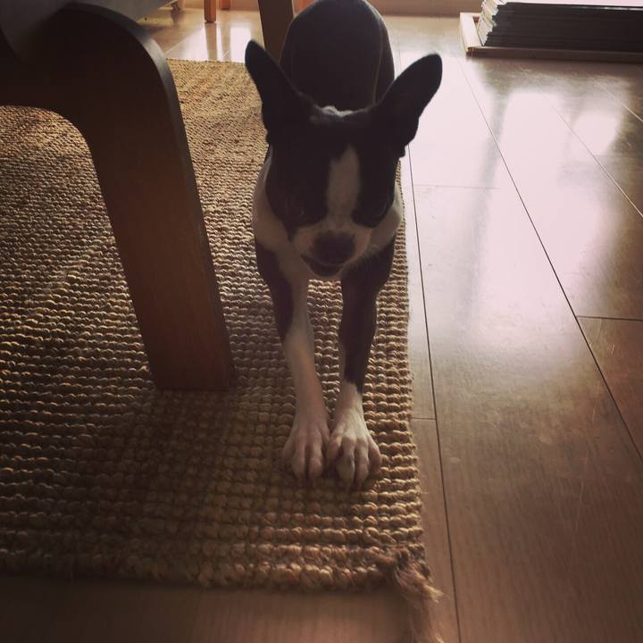 Dc817fd4 b644 48a3 9343 6d41b120ef15 1523946348042