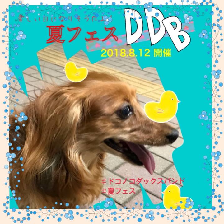 Dc818bfe afb5 4a51 b7e6 226d1dfe3f10 1532737038518