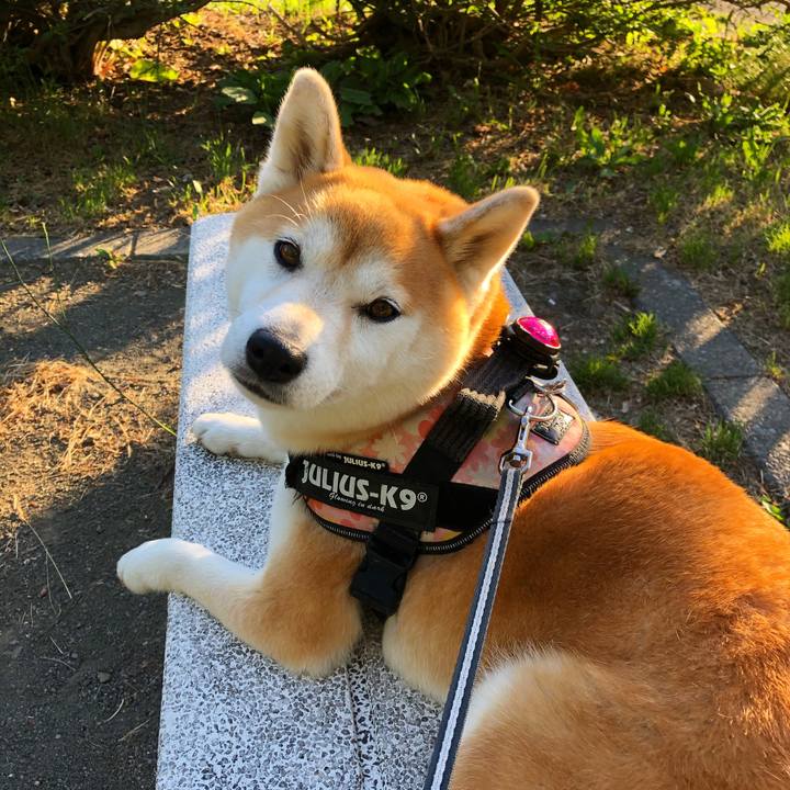 Dc81c901 7ab5 4dbe 8a38 27b3e830e235 1591957334968